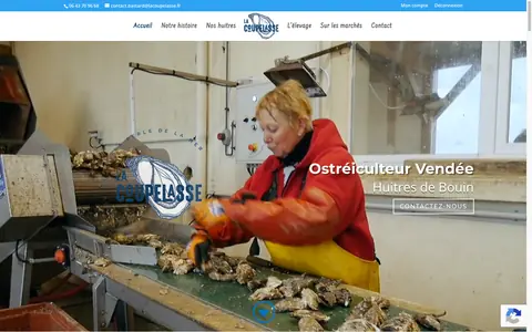 Site internet SCEA La Coupelasse (Bouin) réalisé par Heurtevent, vue ordinateur
